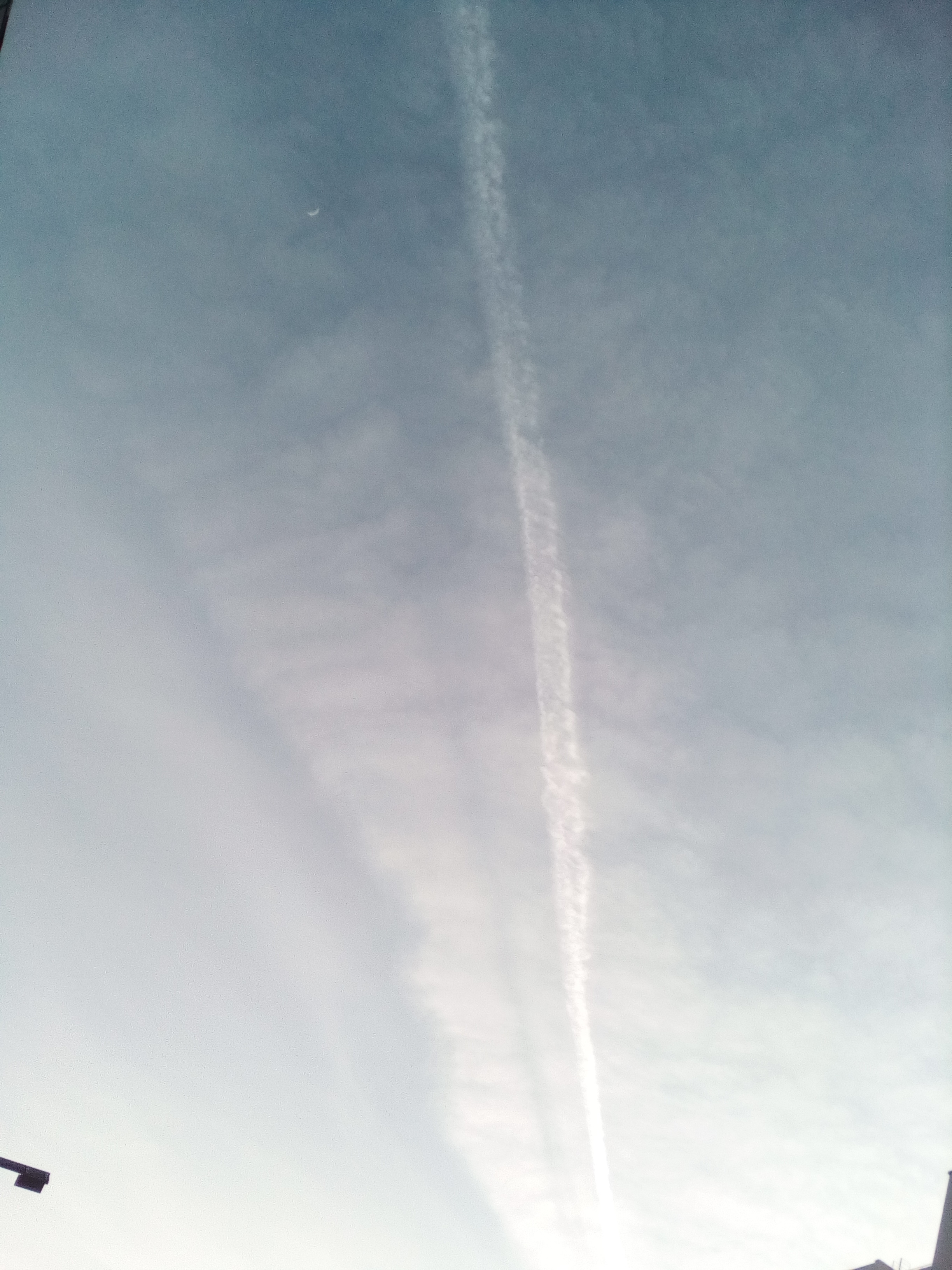 http://images.vfl.ru/ii/1585676194/36a14661/30064466.jpg