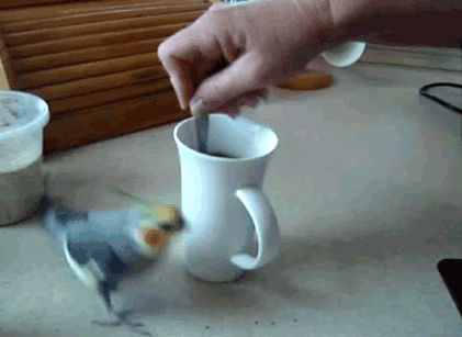 http://images.vfl.ru/ii/1500497402/f7f0e0f0/17976013.gif