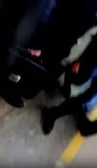 http://images.vfl.ru/ii/1503230324/31a56870/18310860_m.jpg