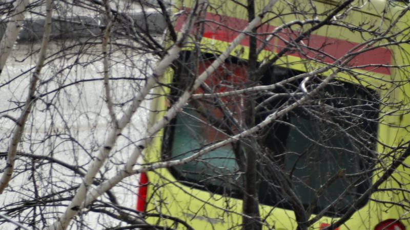 http://images.vfl.ru/ii/1585763945/8e1fdc6b/30075314_m.jpg