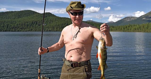 http://images.vfl.ru/ii/1501956853/42553879/18150608_m.jpg