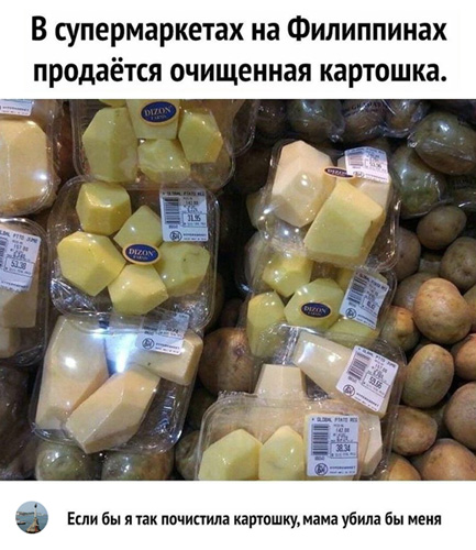 http://images.vfl.ru/ii/1615435762/33011df7/33630515.jpg