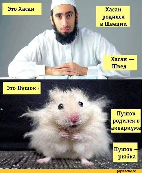 http://img1.joyreactor.cc/pics/post/%D1%80%D0%B0%D1%81%D0%B8%D0%B7%D0%BC-%D0%BF%D0%B5%D1%81%D0%BE%D1%87%D0%BD%D0%B8%D1%86%D0%B0-3026053.jpeg