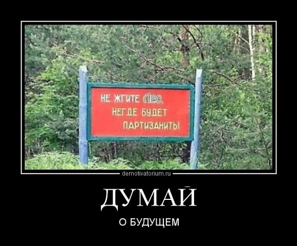 http://images.vfl.ru/ii/1496782405/3d6cd7ee/17488550_m.jpg