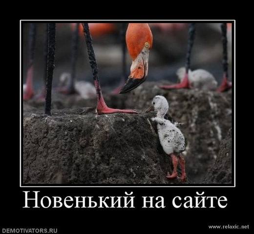 http://images.vfl.ru/ii/1493570426/0a0fabf4/17054790_m.jpg