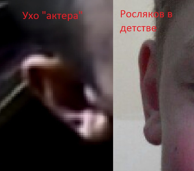https://i.ibb.co/WgB2DV7/image.jpg