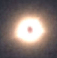 http://images.vfl.ru/ii/1555772054/34313939/26259130_m.jpg