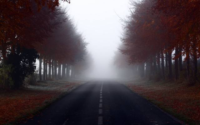 http://images.vfl.ru/ii/1502800348/016ae02f/18255982_m.jpg