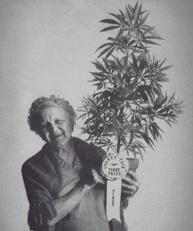 http://s00.yaplakal.com/pics/pics_original/2/2/2/11919222.jpg