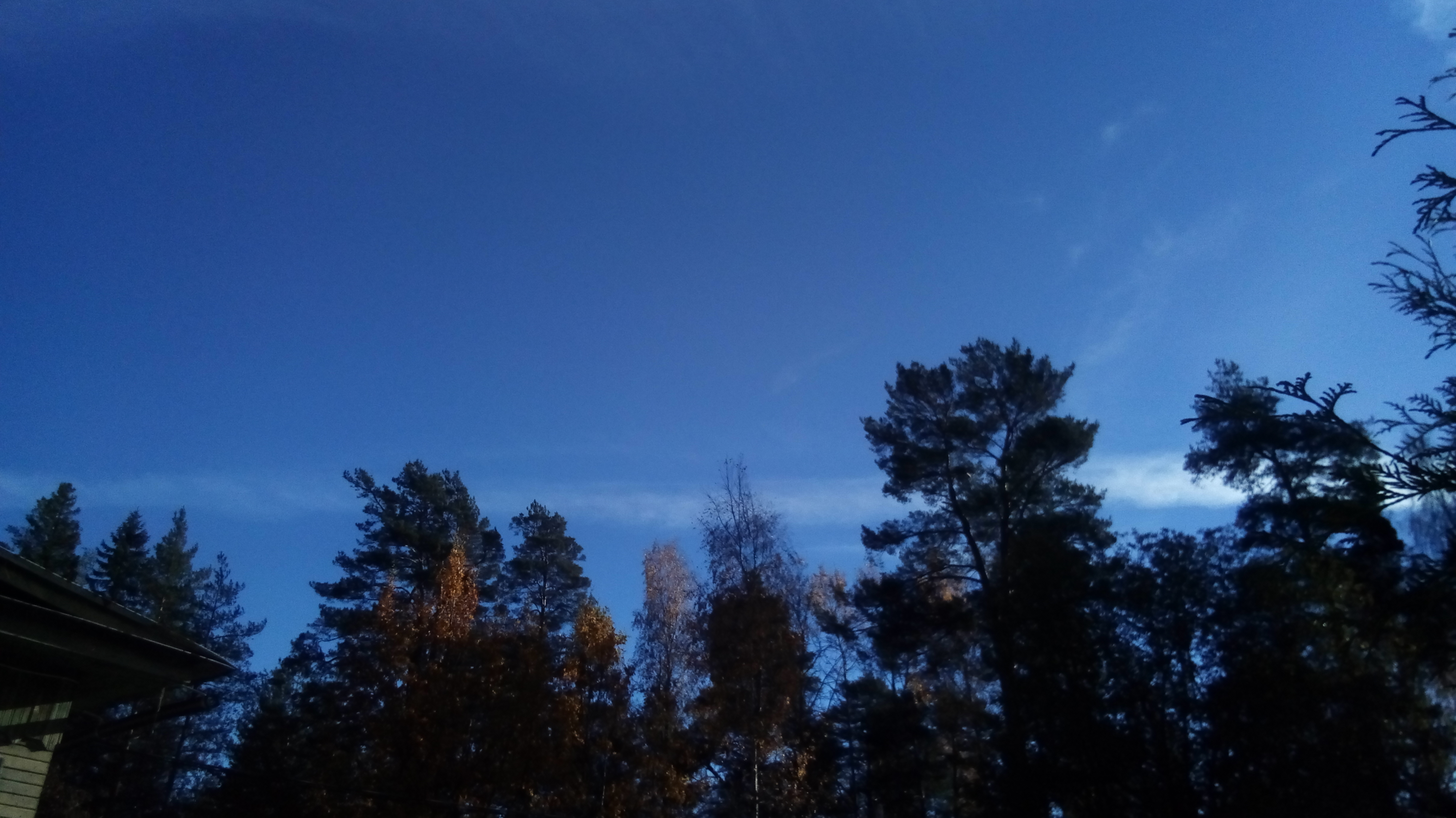 http://images.vfl.ru/ii/1539258703/074550f0/23746188.jpg