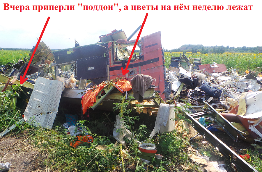 http://images.vfl.ru/ii/1412061361/8e60577c/6506835.png