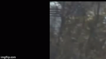 http://images.vfl.ru/ii/1399900432/823d223b/5109834.gif