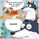 https://e.radikal.host/2023/04/20/pm4OWtGZ_gc97cd0aa7c9d9f28c.th.jpg