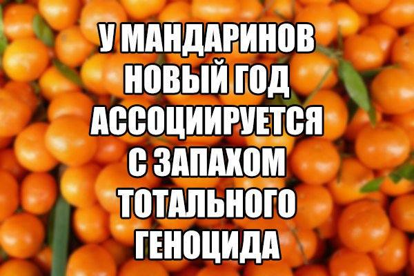 http://images.vfl.ru/ii/1514409745/fc729e38/19940157_m.jpg