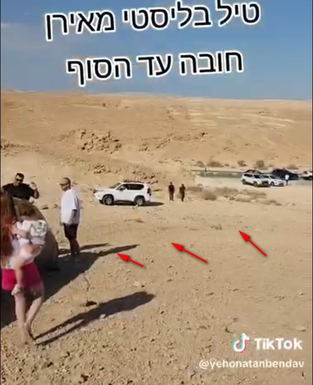 https://i2.imageban.ru/out/2024/10/04/e8676a2aa1136db747aaf1ffea5bc3fe.jpg