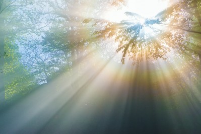 https://www.passionforum.ru/upload/196/u19645/040/8f88299c.jpg