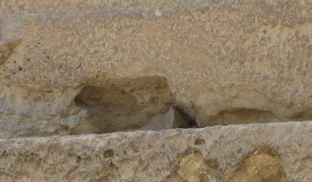 http://images.vfl.ru/ii/1500035026/6f51554a/17921060.jpg