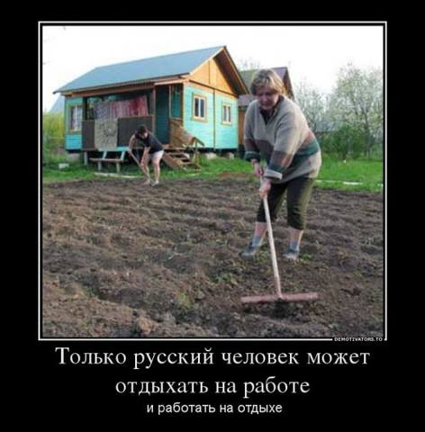 http://images.vfl.ru/ii/1492805760/84bb0e31/16949336_m.jpg