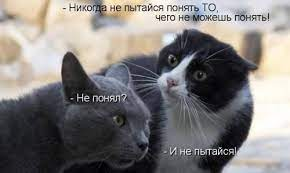 https://i.ibb.co/PM36QBK/122ade7a0e4de5d4d151691e2809bb45.png