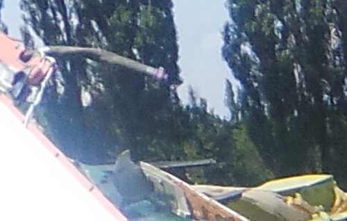 http://images.vfl.ru/ii/1406318291/176e4f46/5804762.png