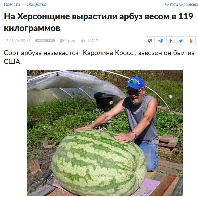 http://images.vfl.ru/ii/1631381866/43b51de5/35825868_m.jpg