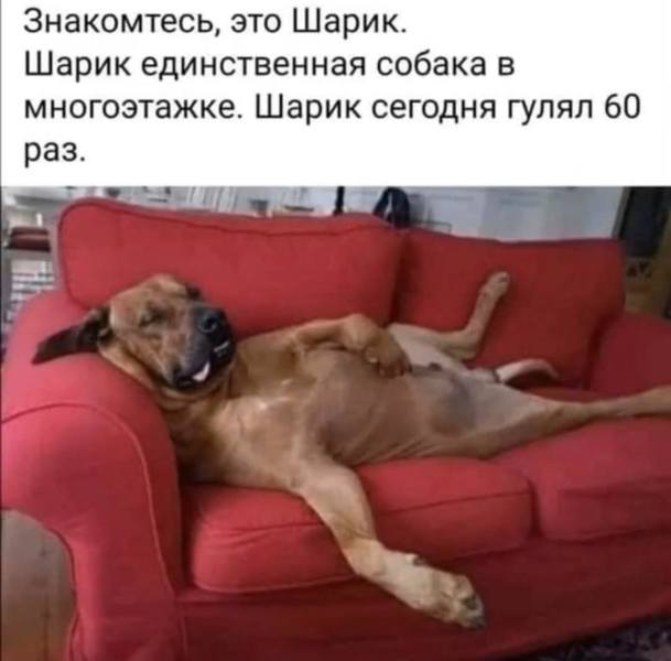 http://images.vfl.ru/ii/1585843145/67d4e554/30083833.jpg