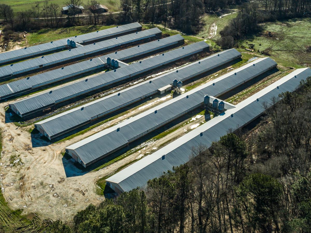 https://cdn.ranchflip.com/photos/198593/carroll-county-broiler-farm-carrollton-carroll-county-georgia-198593-JUsLZK-XXL.jpg