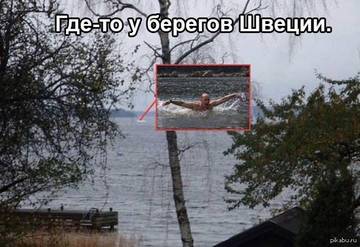 http://sa.uploads.ru/t/1Rt7V.jpg