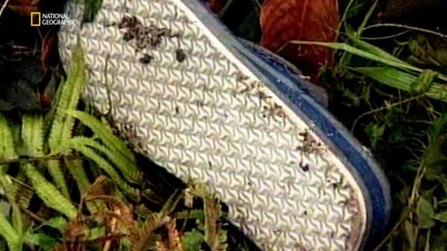 http://images.vfl.ru/ii/1545516103/f5fa94f4/24696916_m.jpg