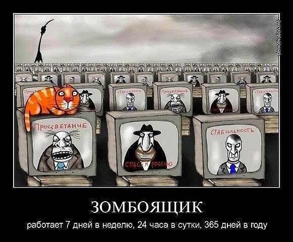 http://images.vfl.ru/ii/1551023545/f5503ba2/25527167.jpg