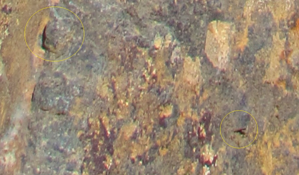 http://images.vfl.ru/ii/1509134815/e73f1f75/19172508.jpg