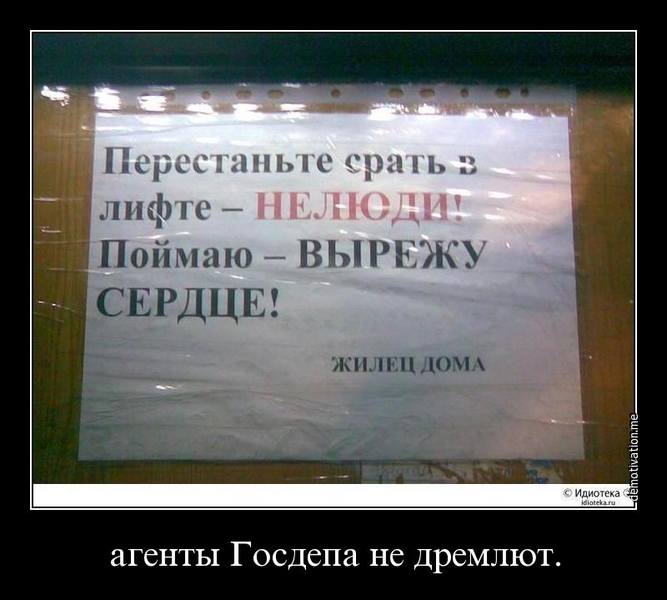 http://images.vfl.ru/ii/1506488357/57a8cc9e/18760095.jpg