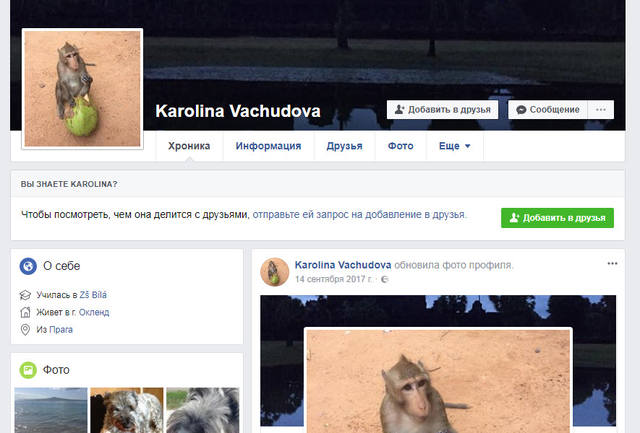 http://images.vfl.ru/ii/1518539036/9bba4a3f/20573281_m.jpg