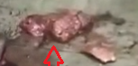 http://images.vfl.ru/ii/1542484037/a98350fa/24244639_s.png