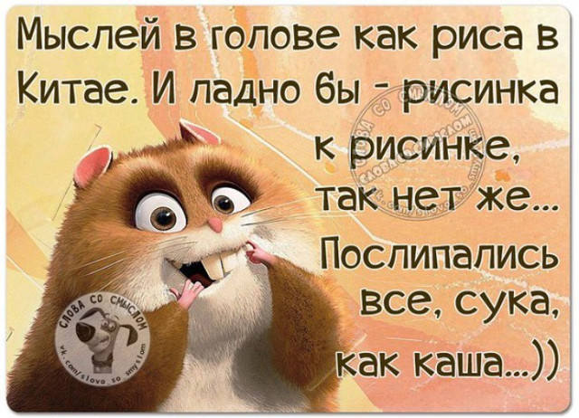 http://images.vfl.ru/ii/1579696537/43d5387c/29285649_m.jpg