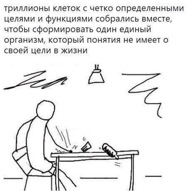 https://i.imgur.com/BnvKnoYl.jpeg