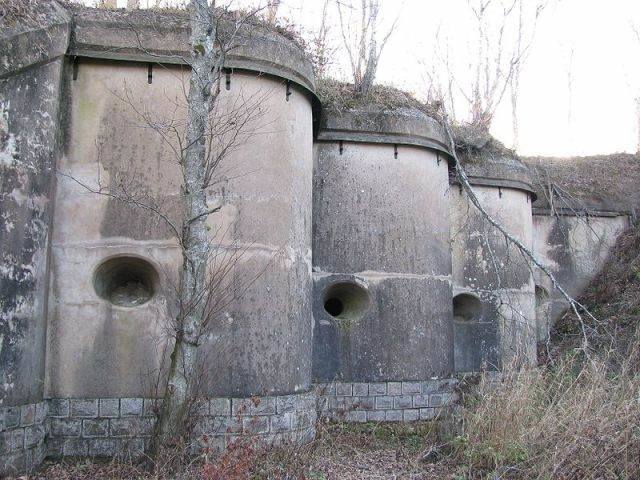 http://images.vfl.ru/ii/1494761614/42003099/17221262_m.jpg