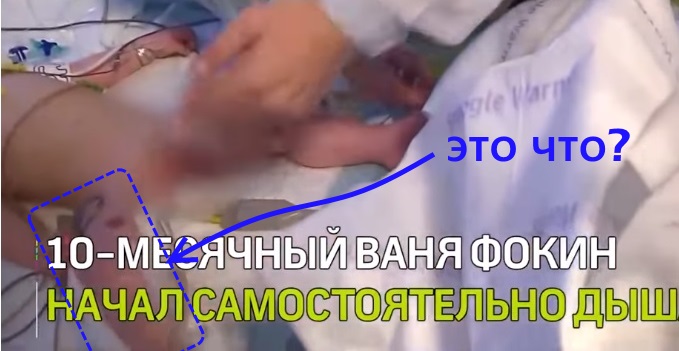 http://images.vfl.ru/ii/1549386159/f9022fb6/25267197.jpg
