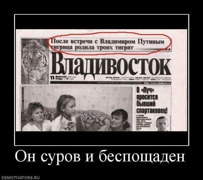 https://s8.hostingkartinok.com/uploads/images/2019/10/f43c00ceb4641dc479e7338cef01ec4b.jpg