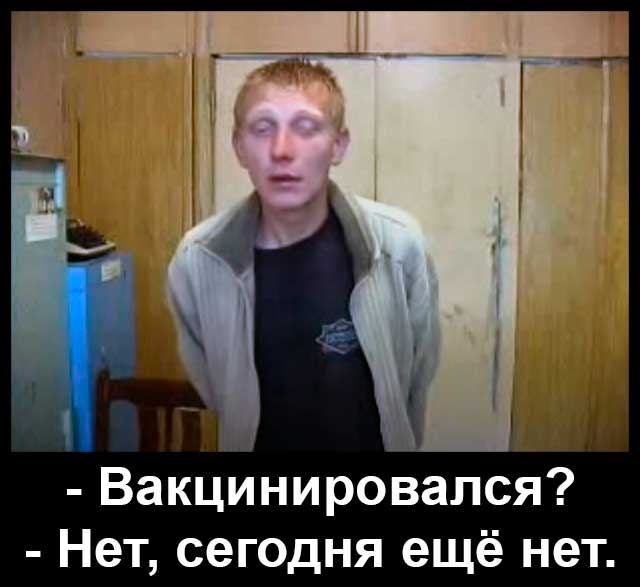 https://i.ibb.co/zsfWD9C/16366436476090.jpg