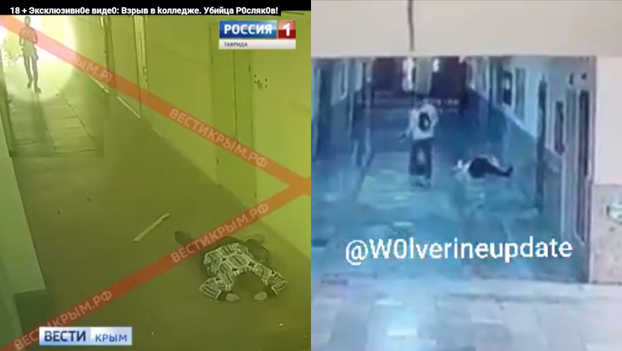 https://i.ibb.co/kgCK4Zb1/image.jpg