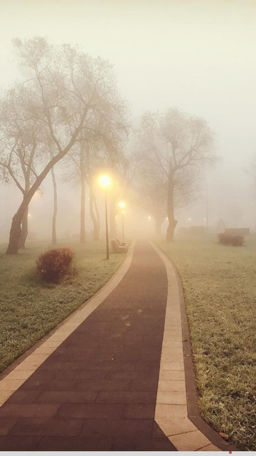 https://i.ibb.co/3Wf0gNp/Screenshot-20211103-083754-Instagram.jpg