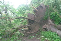 http://images.vfl.ru/ii/1496177261/18c926c8/17406553_s.jpg