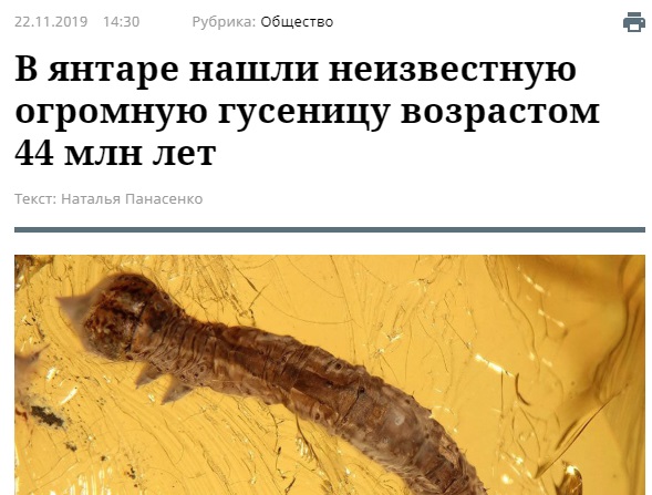 https://i.ibb.co/c8T1JFQ/image.jpg