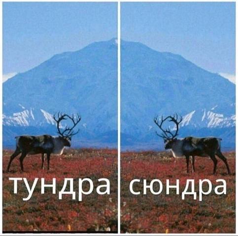 http://images.vfl.ru/ii/1566480618/3a25a287/27621809_m.jpg