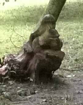 http://images.vfl.ru/ii/1499513024/1c6932c6/17854641.jpg