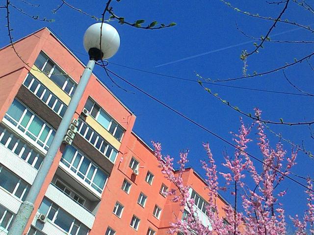 http://images.vfl.ru/ii/1526117390/82bd9721/21710365_m.jpg