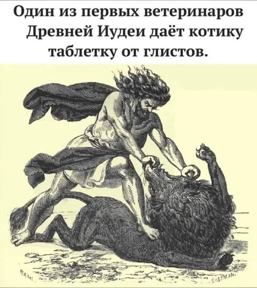 https://i.imgur.com/L3d5pL2.jpg