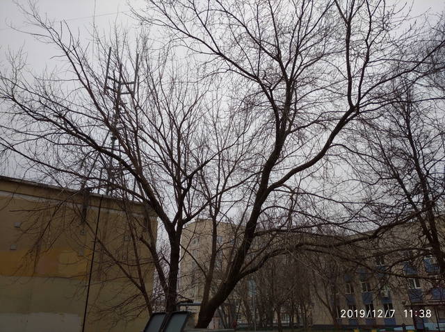 http://images.vfl.ru/ii/1575712275/37a682dc/28829483_m.jpg