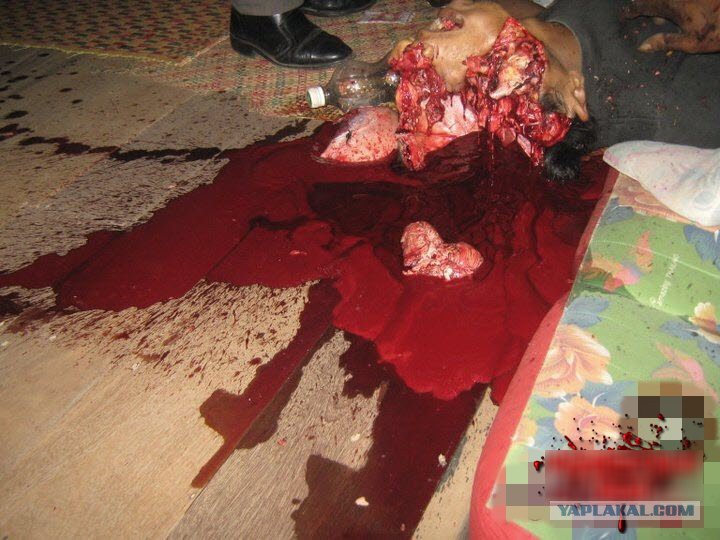 http://s00.yaplakal.com/pics/pics_original/5/8/2/7255285.jpg